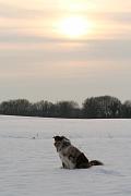 chawnee_059