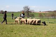 InitiationTroupeau_010
