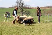 InitiationTroupeau_013