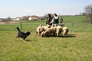 InitiationTroupeau_015