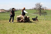 InitiationTroupeau_019
