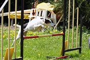 Agility_008