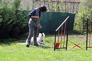 Agility_016