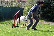 Agility_017