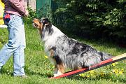Agility_031