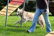 Agility_041