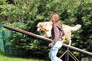 Agility_046