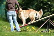 Agility_047