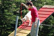 Agility_050