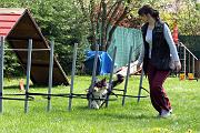 Agility_055