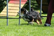 Agility_056