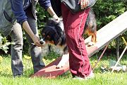 Agility_074