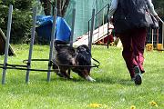 Agility_081