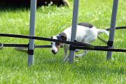 Agility_092