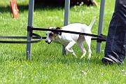 Agility_093