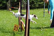Agility_098