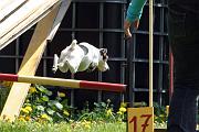 Agility_102