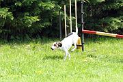 Agility_111