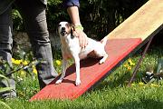 Agility_113