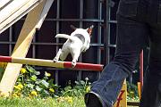 Agility_117
