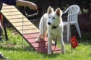 Agility_120