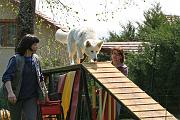 Agility_139