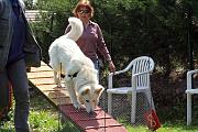 Agility_142
