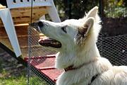 Agility_144