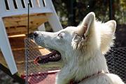 Agility_145