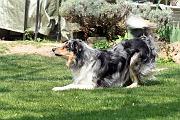 Detente_046