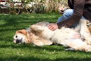 Detente_054