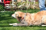 Detente_056
