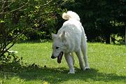 Detente_090