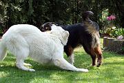 Detente_092