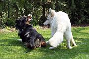 Detente_094