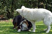 Detente_095