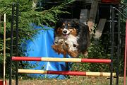Cheyka_018