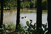 Chawnee_017